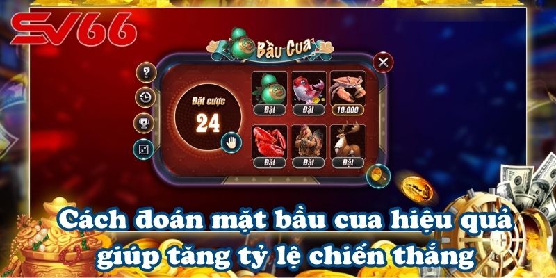 Cách đoán mặt bầu cua hiệu quả giúp tăng tỷ lệ chiến thắng